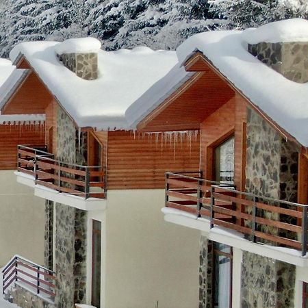Villa Mtashi Бакуриани Екстериор снимка