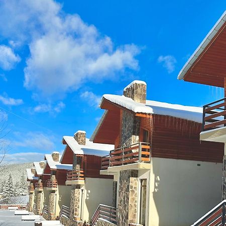 Villa Mtashi Бакуриани Екстериор снимка