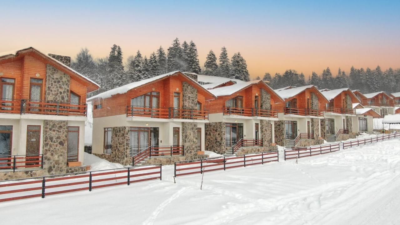 Villa Mtashi Бакуриани Екстериор снимка