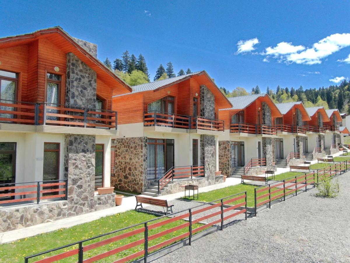 Villa Mtashi Бакуриани Екстериор снимка