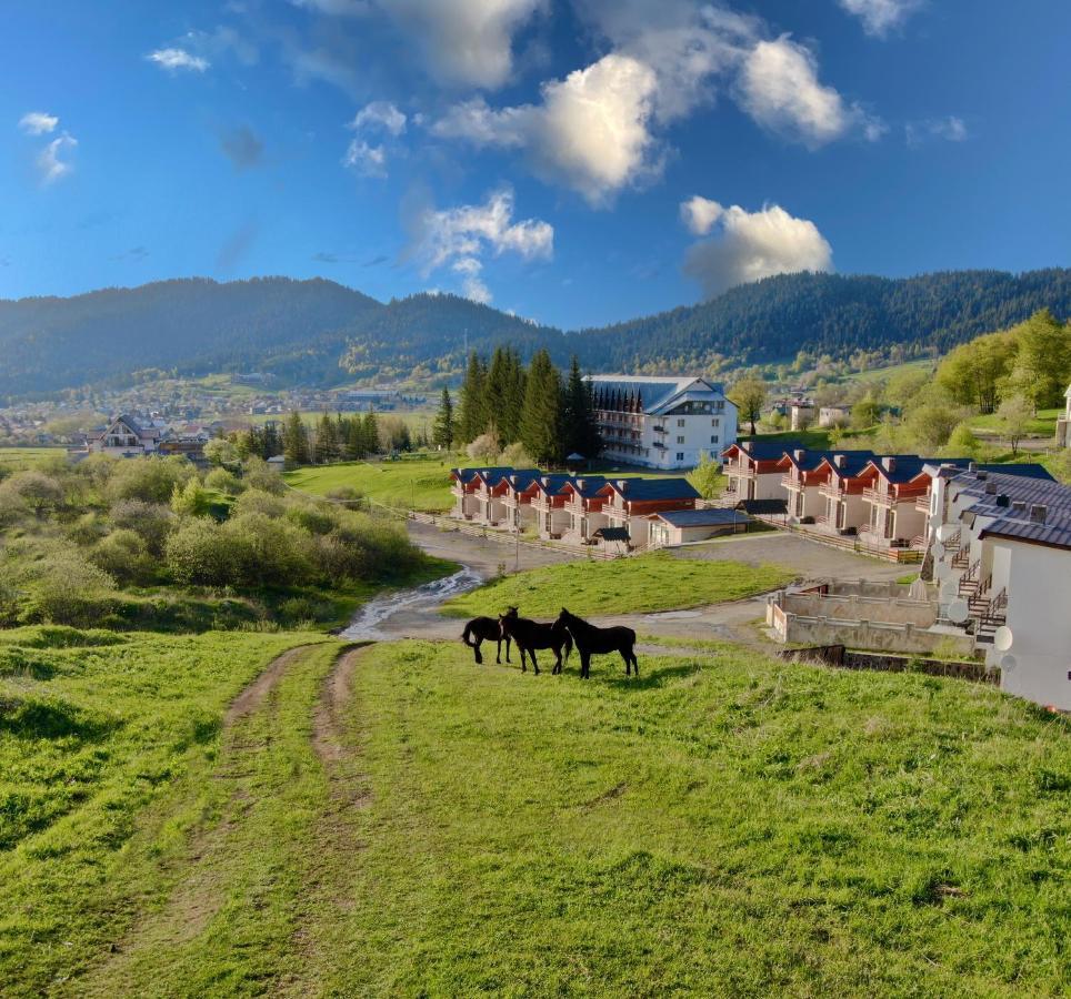 Villa Mtashi Бакуриани Екстериор снимка