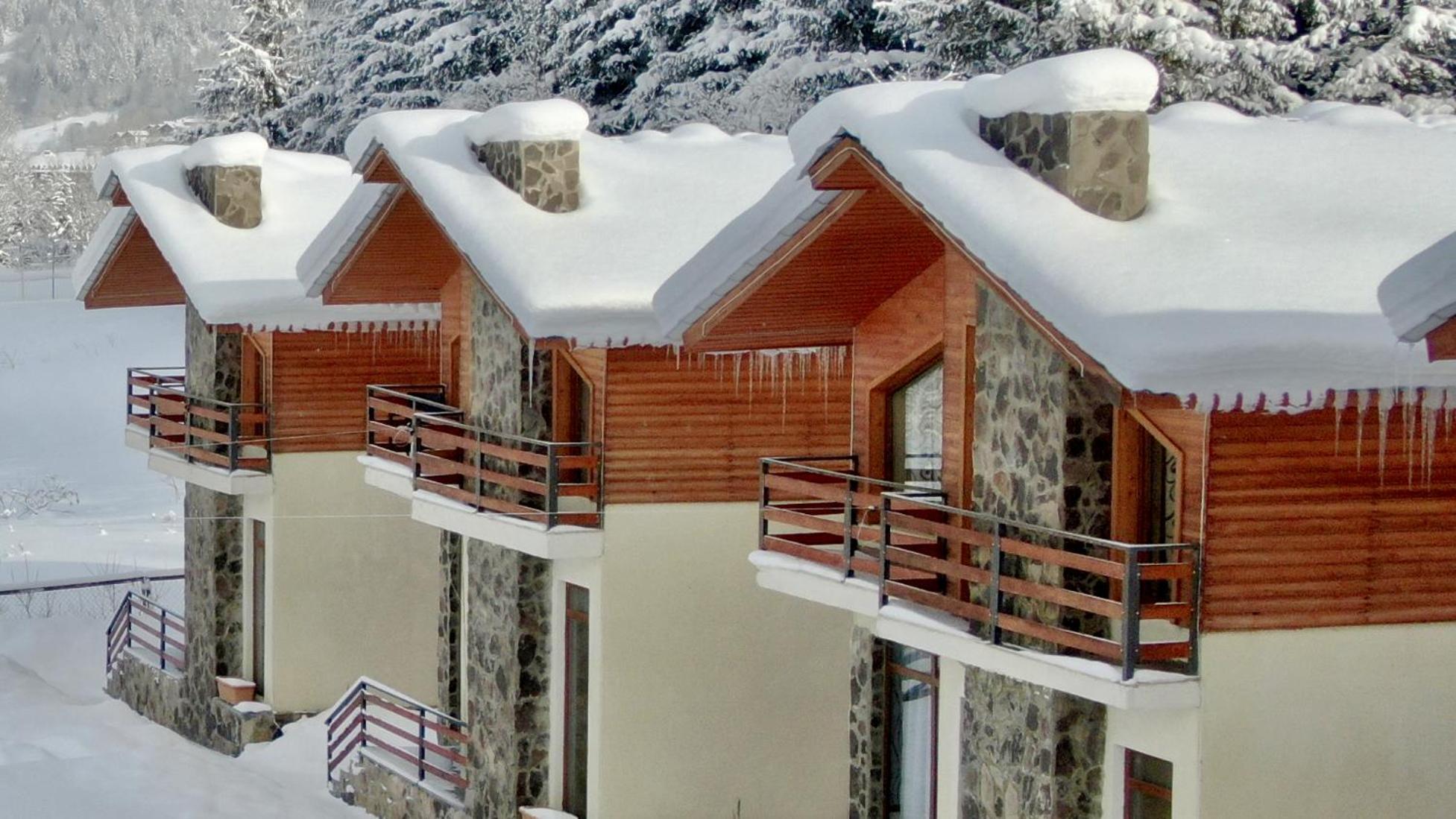 Villa Mtashi Бакуриани Екстериор снимка