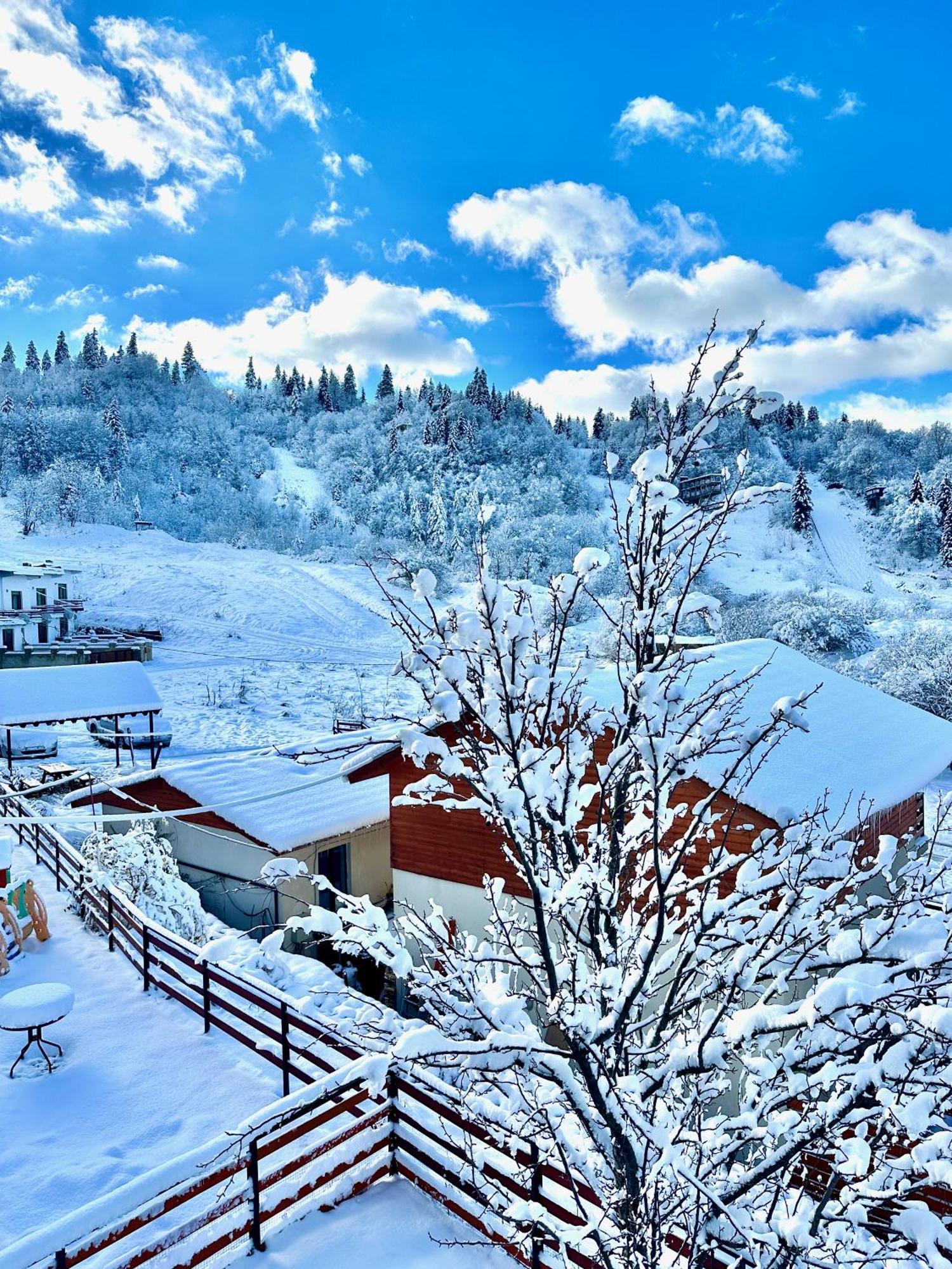 Villa Mtashi Бакуриани Екстериор снимка
