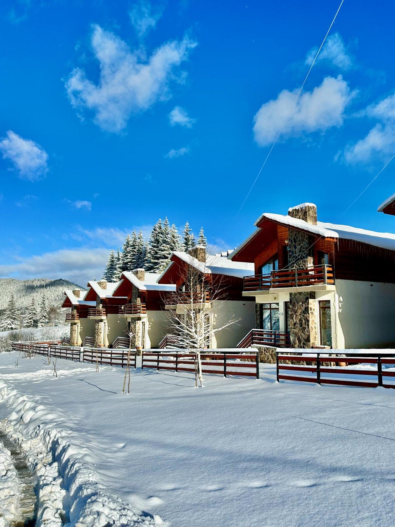 Villa Mtashi Бакуриани Екстериор снимка