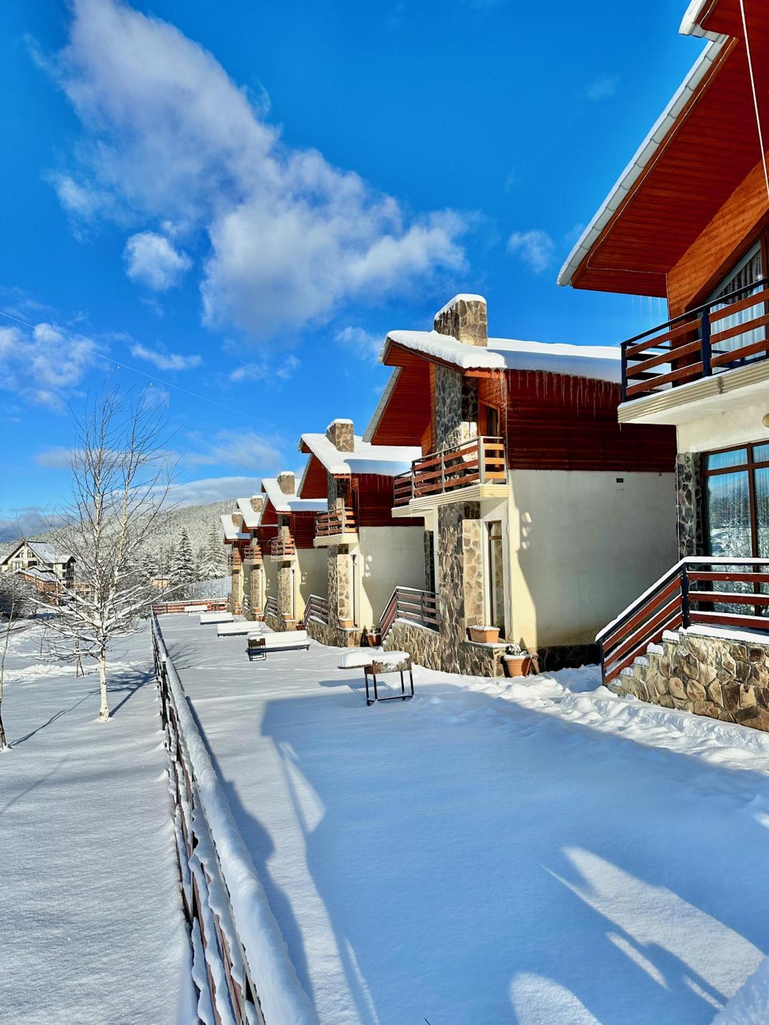 Villa Mtashi Бакуриани Екстериор снимка