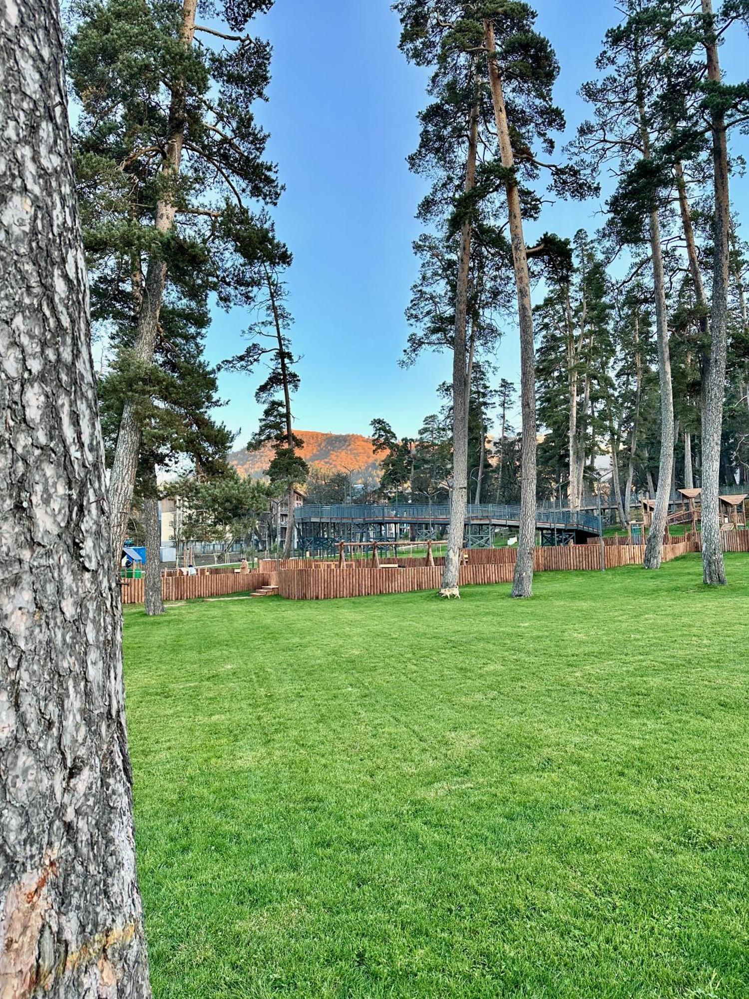 Villa Mtashi Бакуриани Екстериор снимка