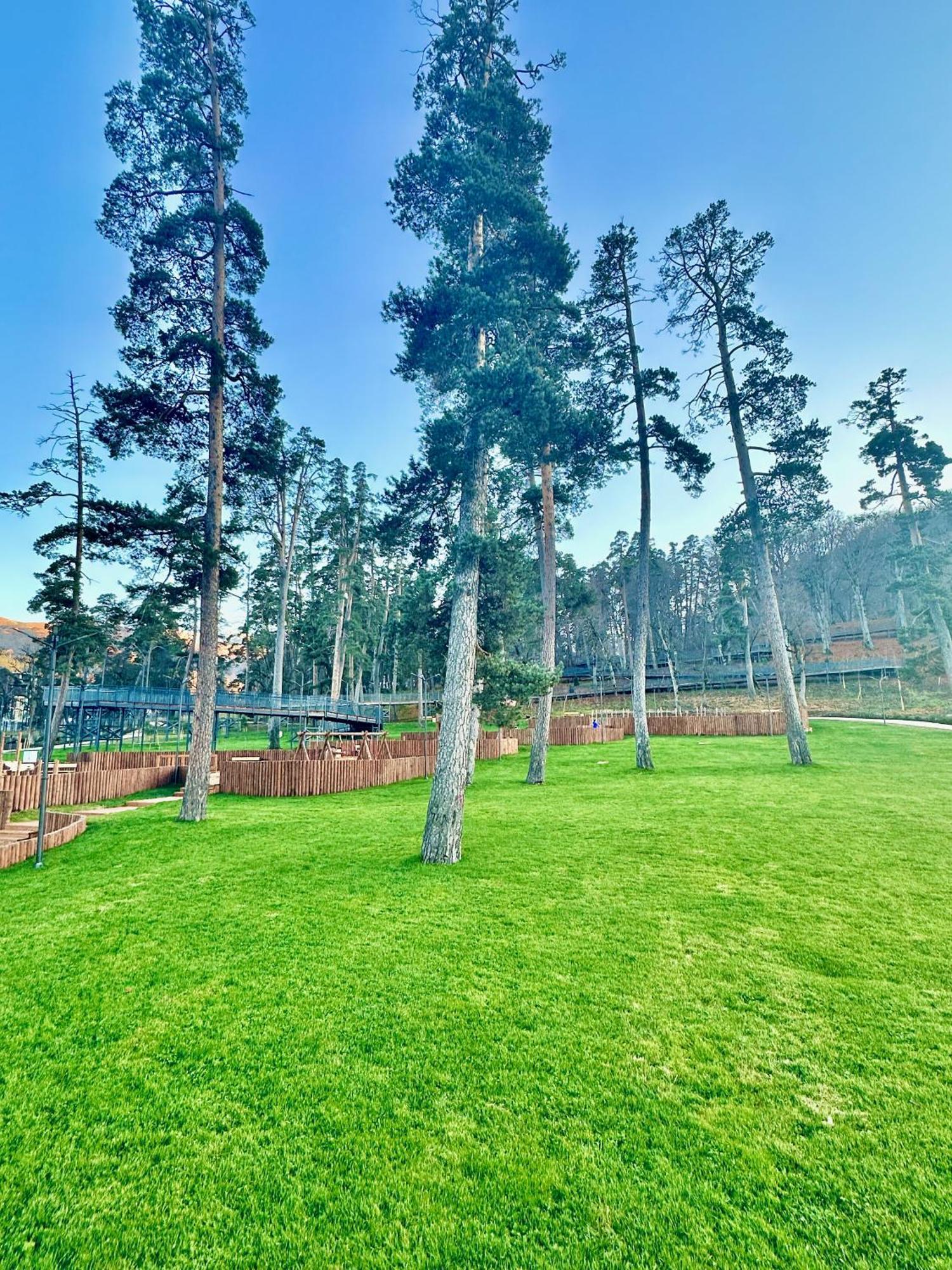 Villa Mtashi Бакуриани Екстериор снимка