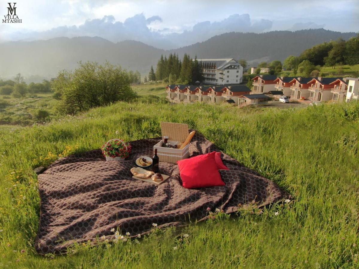 Villa Mtashi Бакуриани Екстериор снимка