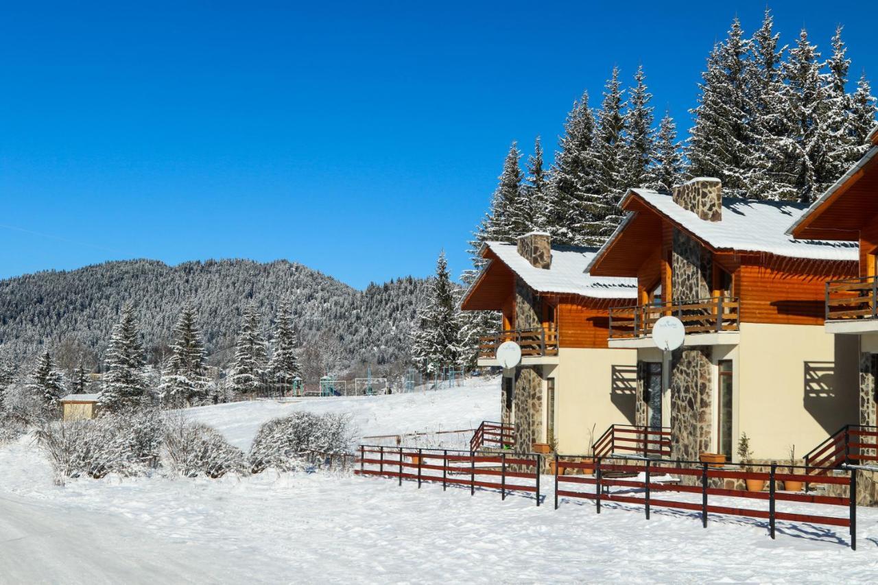 Villa Mtashi Бакуриани Екстериор снимка