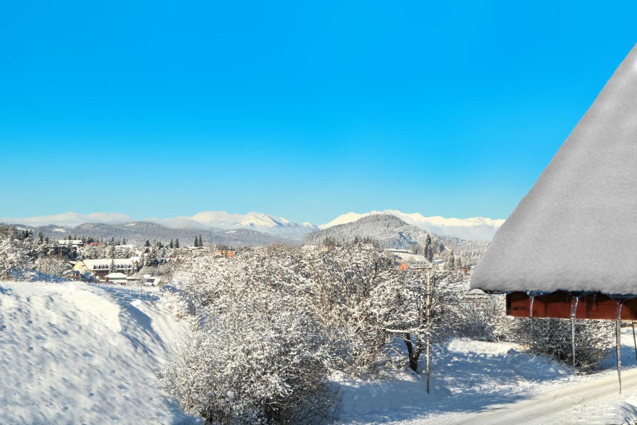 Villa Mtashi Бакуриани Екстериор снимка